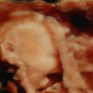 Meet your Posher, Santa